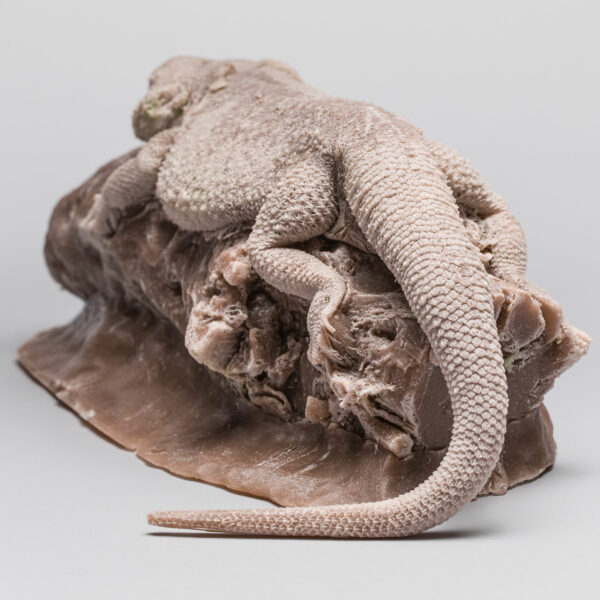 Sleeping Pet Memorial (Painted Full Body Casting) - Image 10