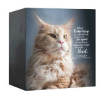 When Tomorrow Starts